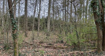 Peyrillac-et-Millac Terrain à bâtir - 2121818-11160annonce320250331DvTW0.jpeg Maisons France Confort
