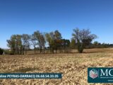 Terrain à bâtir à Momuy (40700) 2146466-5828annonce120250320oJIGx.jpeg Maisons France Confort