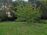 Terrain à bâtir à Pornic (44210) 2146636-11110annonce320250502Aa7Cr.jpeg Maisons France Confort