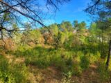 Terrain à bâtir à Brignoles (83170) 2146766-10746annonce1202505023rvCA.jpeg Maisons France Confort