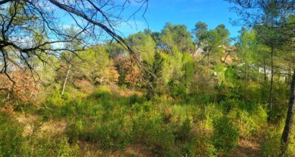 Brignoles Terrain à bâtir - 2146766-10746annonce1202505023rvCA.jpeg Maisons France Confort