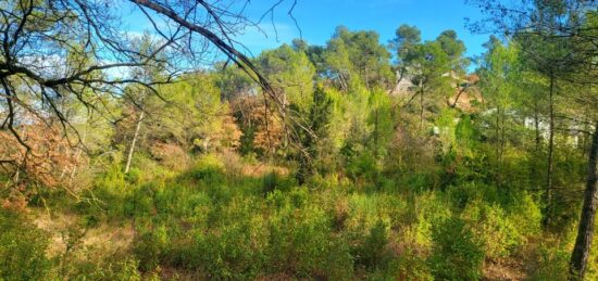 Terrain à bâtir à Brignoles, Provence-Alpes-Côte d'Azur
