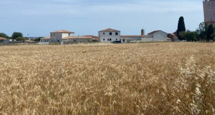 Bassan Maison neuve - 2146878-11018annonce220250502WDGF4.jpeg Maisons France Confort