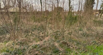 Saint-Denis-de-Pile Maison neuve - 2147026-4459annonce1202410225o9OA.jpeg Maisons France Confort