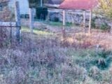 Maison à construire à Faÿ-lès-Nemours (77167) 2145094-1635annonce120250416fUOcW.jpeg Maisons France Confort