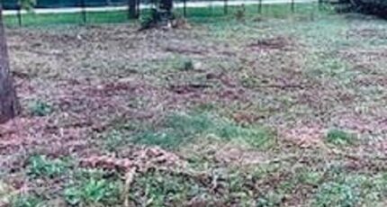 Nemours Maison neuve - 2145144-1635annonce1202504164acZg.jpeg Maisons France Confort