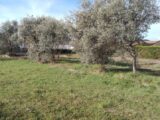 Terrain à bâtir à Oraison (04700) 2147407-9917annonce120250110Z1KHS.jpeg Maisons France Confort