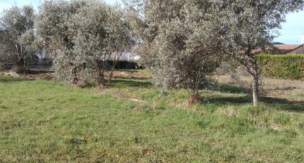 Oraison Terrain à bâtir - 2147407-9917annonce120250110Z1KHS.jpeg Maisons France Confort