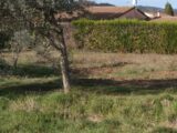 Terrain à bâtir à Oraison (04700) 2147400-9917annonce220250110BIVHP.jpeg Maisons France Confort