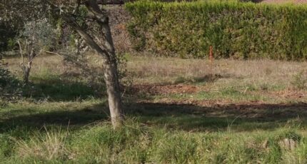 Oraison Terrain à bâtir - 2147400-9917annonce220250110BIVHP.jpeg Maisons France Confort