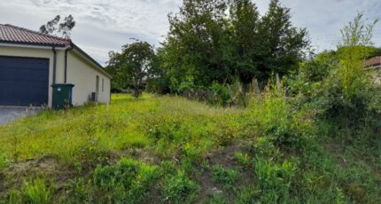 Le Palais-sur-Vienne Maison neuve - 2093854-10865annonce2202502281a5fN.jpeg Maisons France Confort