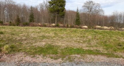 Feytiat Maison neuve - 2086985-10865annonce120250221zBkCd.jpeg Maisons France Confort