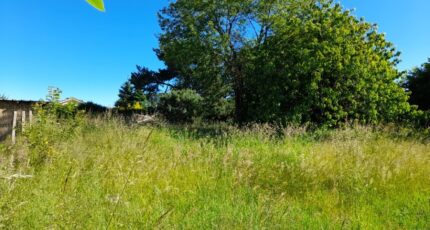 Saint-Just-le-Martel Maison neuve - 2093931-10865annonce220250228Un7ef.jpeg Maisons France Confort