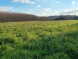 Terrain à bâtir à Valence (26000) 2138356-6150annonce1202310252bXNS.jpeg Maisons France Confort