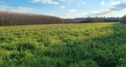 Valence Terrain à bâtir - 2138356-6150annonce1202310252bXNS.jpeg Maisons France Confort