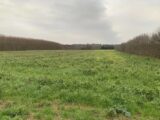 Terrain à bâtir à Valence (26000) 2138356-6150annonce220231025mZQQ1.jpeg Maisons France Confort