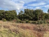 Terrain à bâtir à Grignan (26230) 2147813-6150annonce120250125zEMvo.jpeg Maisons France Confort