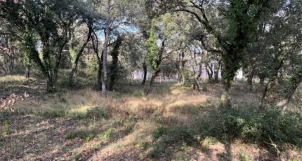 Grignan Terrain à bâtir - 2147819-6150annonce520250125U8M8t.jpeg Maisons France Confort