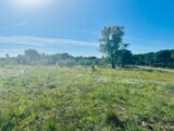 Terrain à bâtir à Puget-sur-Argens (83480) 2147931-3701annonce1202505030AaIw.jpeg Maisons France Confort