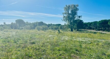 Puget-sur-Argens Terrain à bâtir - 2147931-3701annonce1202505030AaIw.jpeg Maisons France Confort