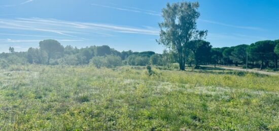 Terrain à bâtir à Puget-sur-Argens, Provence-Alpes-Côte d'Azur