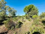 Terrain à bâtir à Puget-sur-Argens (83480) 2147931-3701annonce220250503ptmaM.jpeg Maisons France Confort