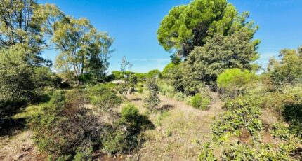 Puget-sur-Argens Terrain à bâtir - 2147931-3701annonce220250503ptmaM.jpeg Maisons France Confort