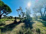 Terrain à bâtir à Puget-sur-Argens (83480) 2147921-3701annonce220250503ffBHo.jpeg Maisons France Confort