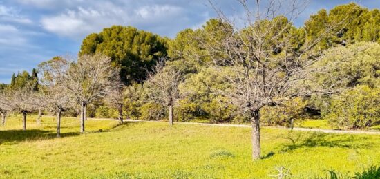 Terrain à bâtir à La Cadière-d'Azur, Provence-Alpes-Côte d'Azur