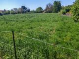 Terrain à bâtir à Ars-Laquenexy (57530) 2146442-5138annonce220250502JZLTS.jpeg Maisons France Confort