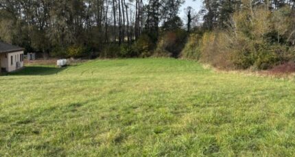 Montagnac-la-Crempse Terrain à bâtir - 2144737-11104annonce120250213eBGsT.jpeg Maisons France Confort