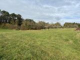 Terrain à bâtir à Montagnac-la-Crempse (24140) 2144737-11104annonce320250213cXsHx.jpeg Maisons France Confort