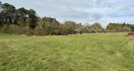 Montagnac-la-Crempse Terrain à bâtir - 2144737-11104annonce320250213cXsHx.jpeg Maisons France Confort