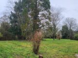 Maison à construire à Chaufour-lès-Bonnières (78270) 2148185-11218annonce1202505046L8UG.jpeg Maisons France Confort