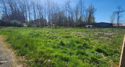 Lagrave Maison neuve - 2125059-2684annonce120250404i7Tmv.jpeg Maisons France Confort