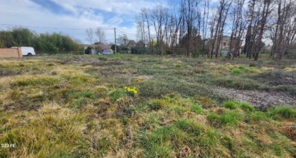 Lagrave Maison neuve - 2125059-2684annonce32025040464va3.jpeg Maisons France Confort