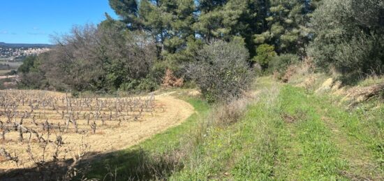 Terrain à bâtir à Le Castellet, Provence-Alpes-Côte d'Azur