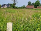 Terrain à bâtir à Winnezeele (59670) 2055310-10722annonce120250117UQCHm.jpeg Maisons France Confort