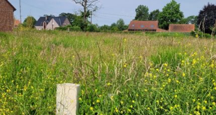 Winnezeele Terrain à bâtir - 2055310-10722annonce120250117UQCHm.jpeg Maisons France Confort