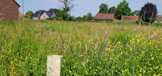 Terrain à bâtir à Winnezeele, Hauts-de-France