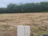 Maison à construire à Bollezeele (59470) 2059046-1587annonce120250122ZAkB4.jpeg Maisons France Confort