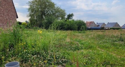 Herzeele Maison neuve - 2056380-10722annonce1202501201xA6a.jpeg Maisons France Confort