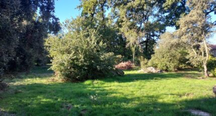Camps-la-Source Terrain à bâtir - 2148493-11137annonce120250108q7H6T.jpeg Maisons France Confort