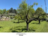 Maison à construire à Figanières (83830) 2148528-3951annonce120250505Ma23G.jpeg Maisons France Confort