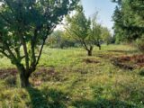 Maison à construire à Sénas (13560) 2149215-7289annonce120250505P1Pl9.jpeg Maisons France Confort