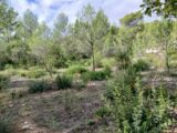 Terrain à bâtir à Assas (34820) 2148679-11040annonce120250505pFOT3.jpeg Maisons France Confort