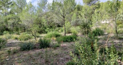 Assas Terrain à bâtir - 2148679-11040annonce120250505pFOT3.jpeg Maisons France Confort