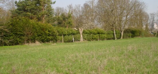 Terrain à bâtir à Montigny-sur-Loing, Île-de-France