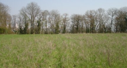 Montigny-sur-Loing Terrain à bâtir - 2149275-4353annonce2202505058nkke.jpeg Maisons France Confort