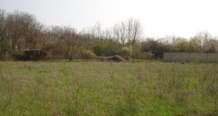 Montigny-sur-Loing Terrain à bâtir - 2149275-4353annonce320250505Dtq4t.jpeg Maisons France Confort
